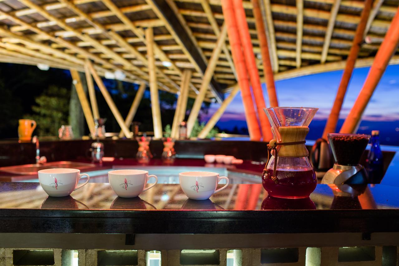 Coffee & Adventure Hotel By La Palma Y El Tucan Сипакон Экстерьер фото