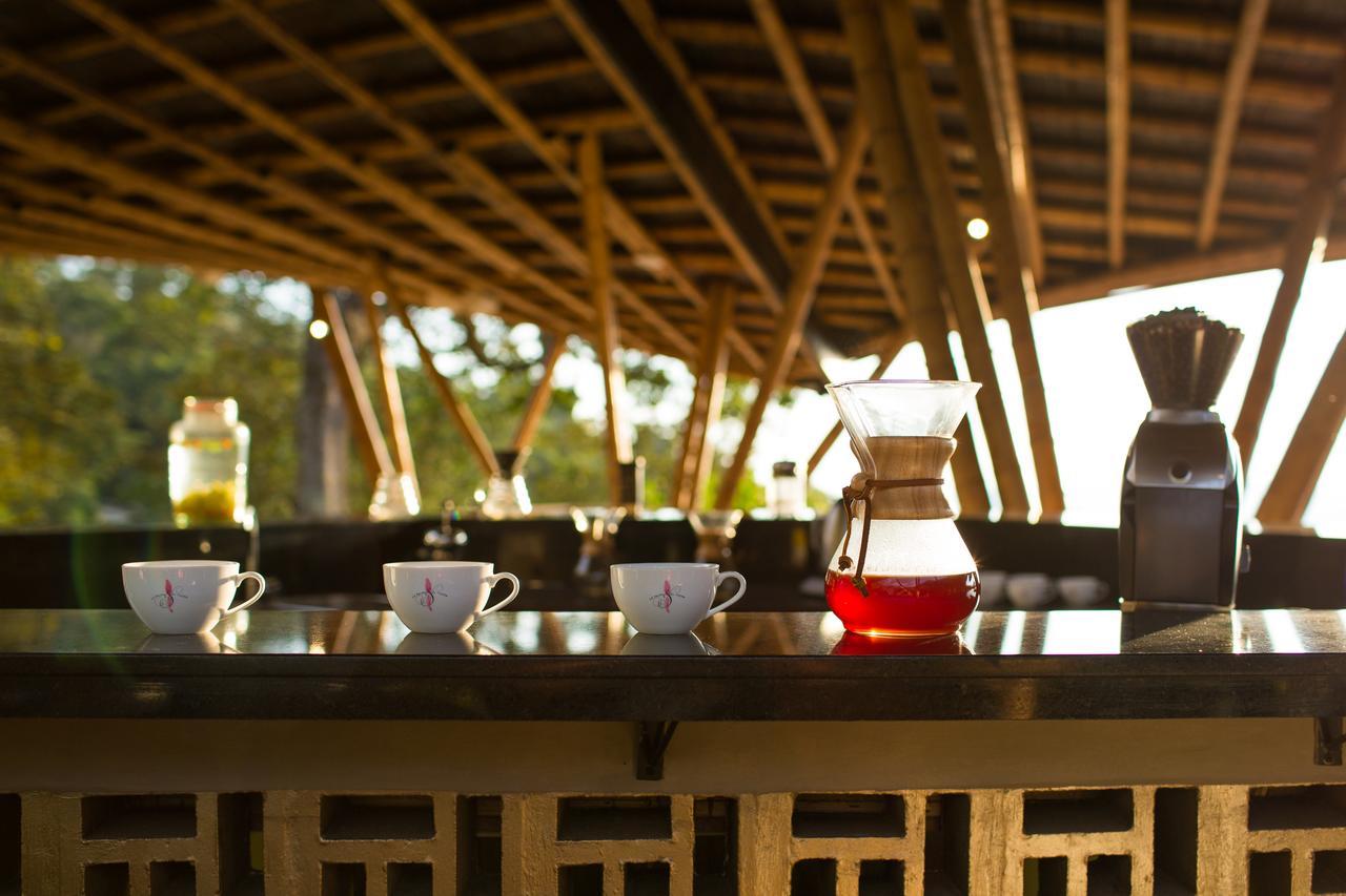 Coffee & Adventure Hotel By La Palma Y El Tucan Сипакон Экстерьер фото