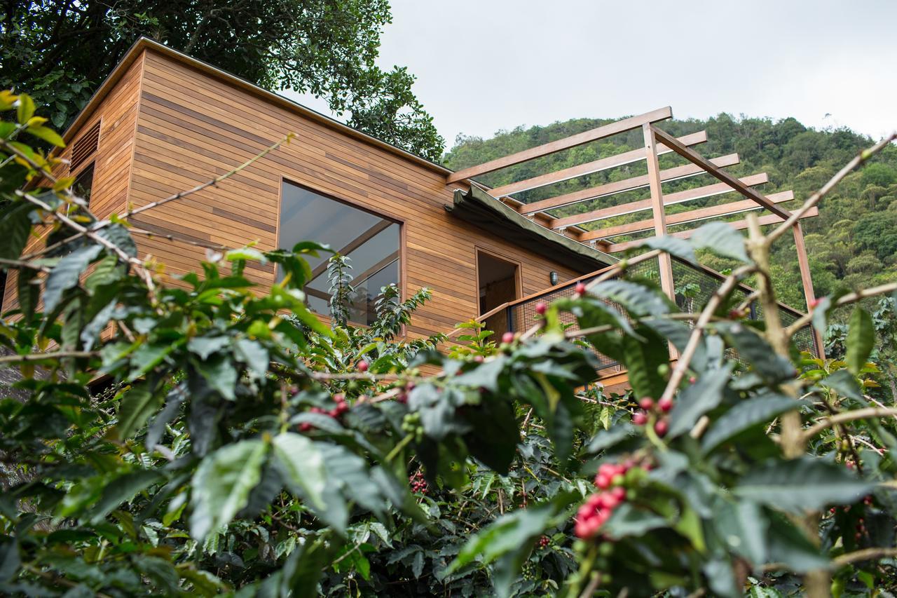 Coffee & Adventure Hotel By La Palma Y El Tucan Сипакон Экстерьер фото