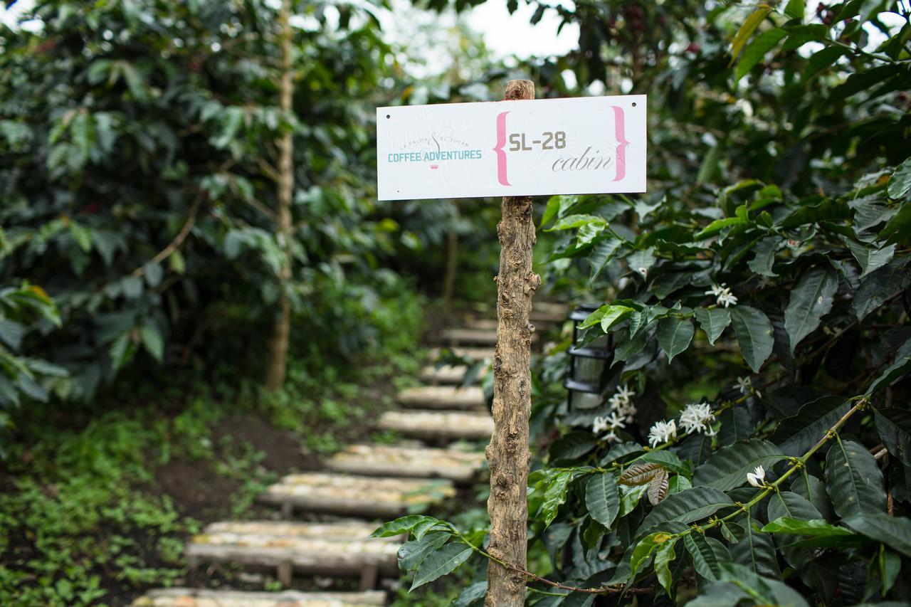 Coffee & Adventure Hotel By La Palma Y El Tucan Сипакон Экстерьер фото