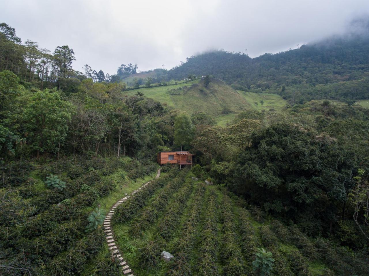 Coffee & Adventure Hotel By La Palma Y El Tucan Сипакон Экстерьер фото